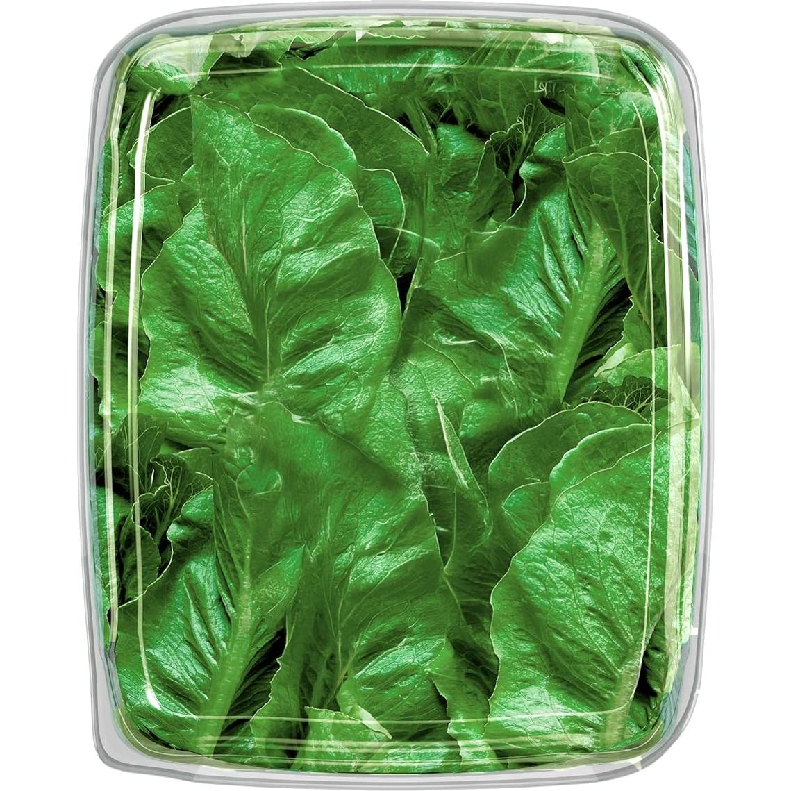 Lechuga Romaine Gotham Greens 127g - Fresca y Sostenible