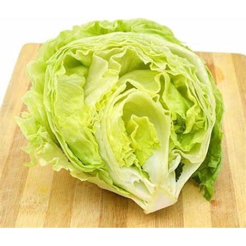 Iceberg Crisphead Lettuce Seeds (25 Count) COOL BEANS N SPROUTS Brand. Home Gardening.