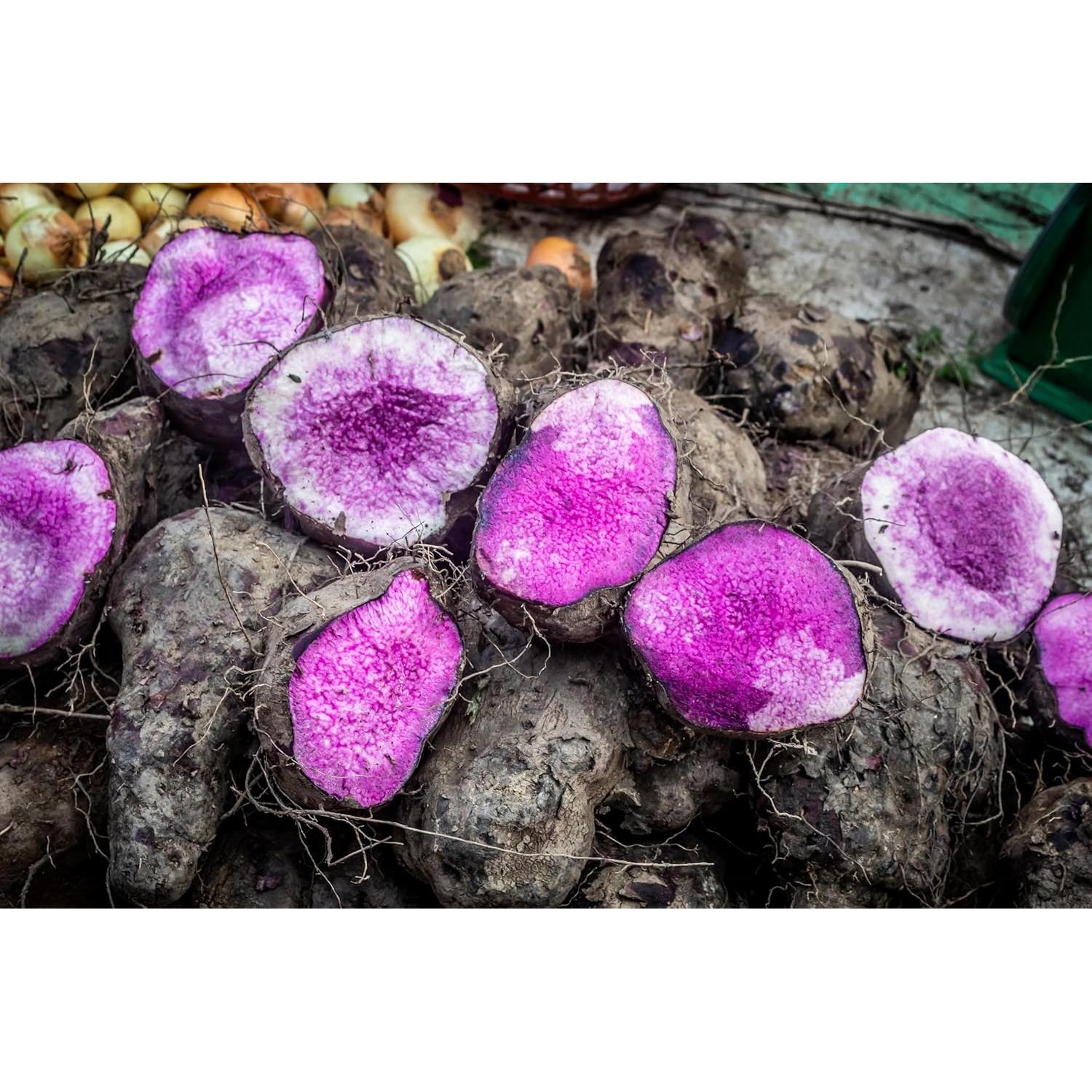 Polvo de Taro Púrpura 75g - Tinte Natural para Alimentos