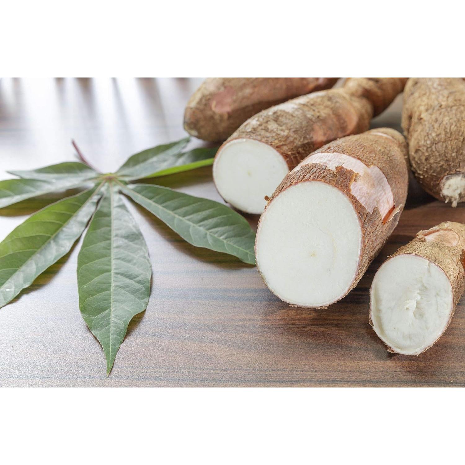 Harina de Yuca Orgánica Food to Live 1.81 kg - Sin Gluten, Vegana