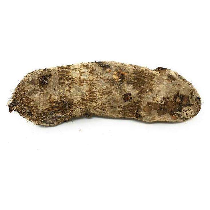 Malanga Raíz Lila Convencional 1kg - Púrpura Fresca