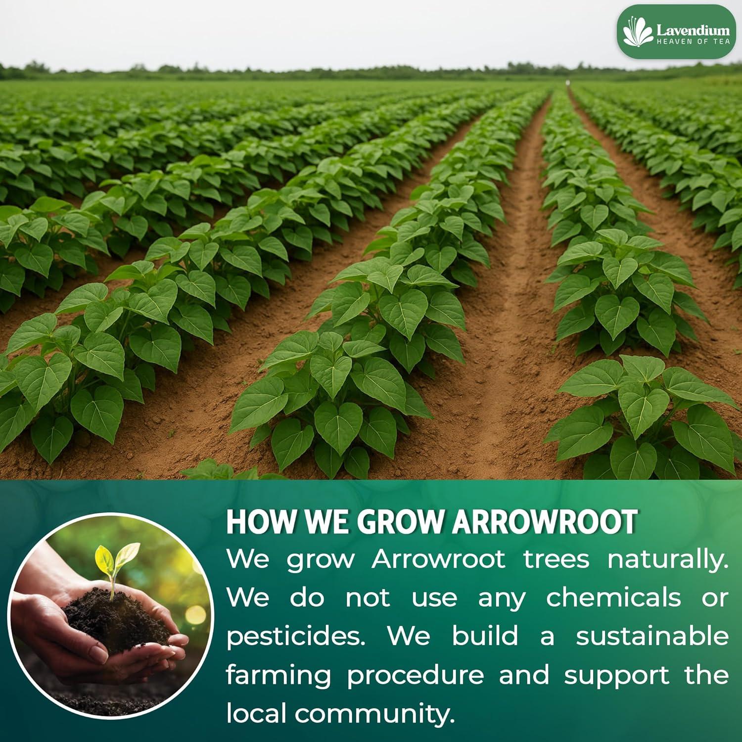 Almidón de Arrurruz Premium Lavendium 500g - Sin Gluten, Vegano