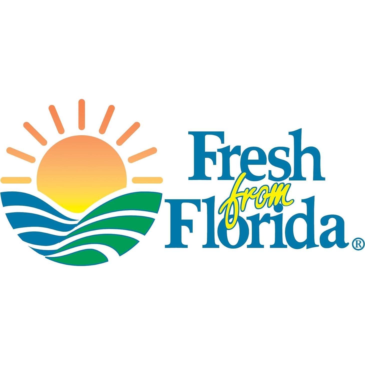 Hojas de Aguacate Frescas 100% Naturales - 5 Hojas Aromáticas