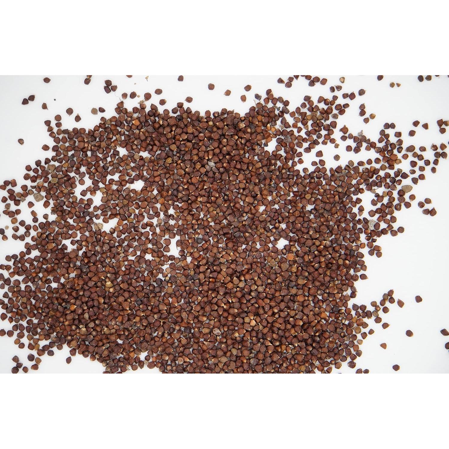 Especias AseLife Energy Pimienta de Cocodrilo 123g con Molinillo