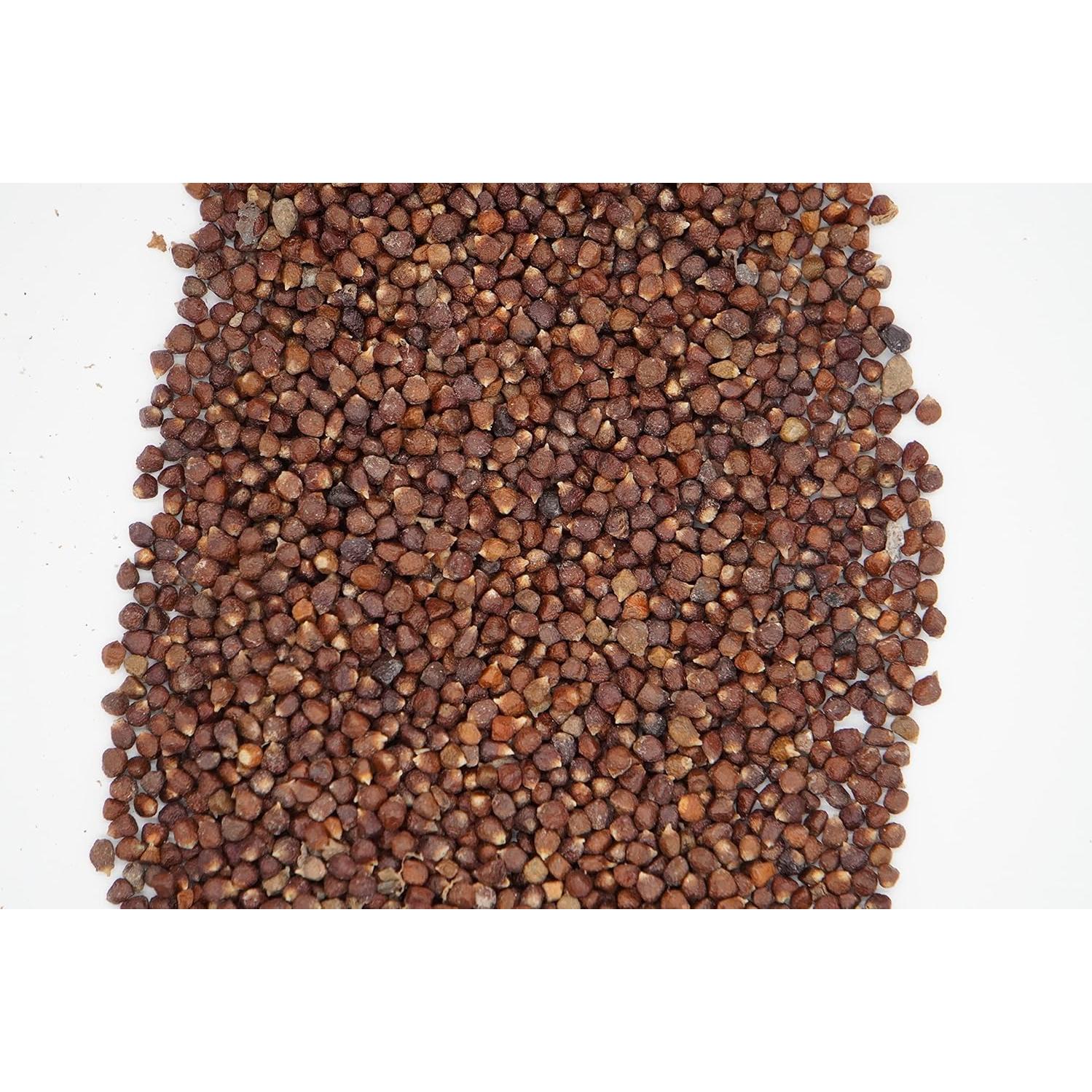 Especias AseLife Energy Pimienta de Cocodrilo 123g con Molinillo