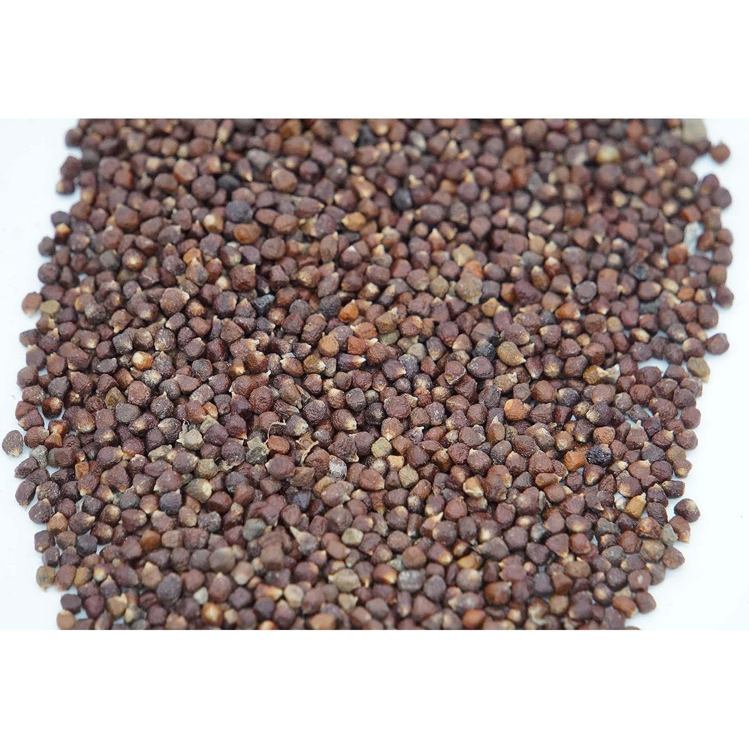 Especias AseLife Energy Pimienta de Cocodrilo 123g con Molinillo