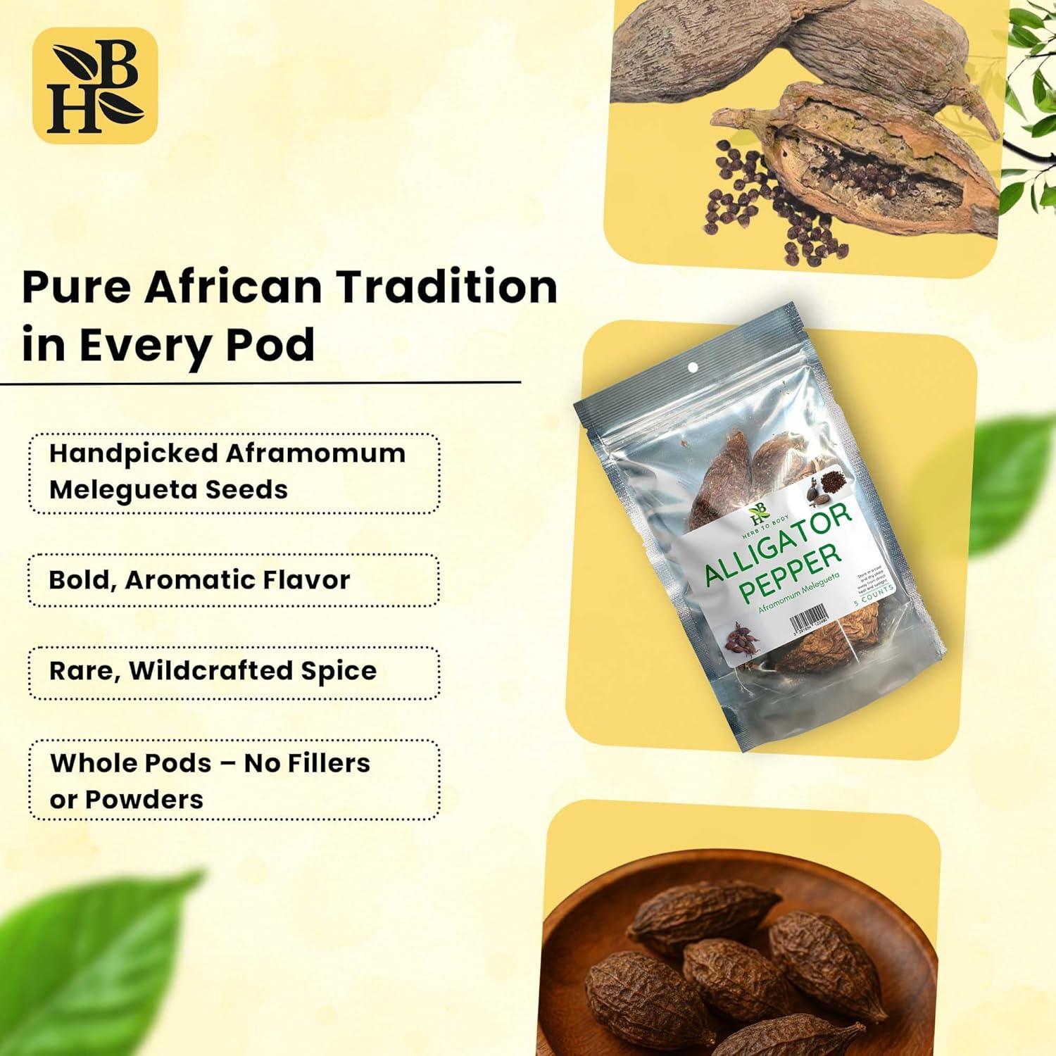 Pimienta de Cocodrilo Herb To Body - 5 Vainas Premium de Nigeria