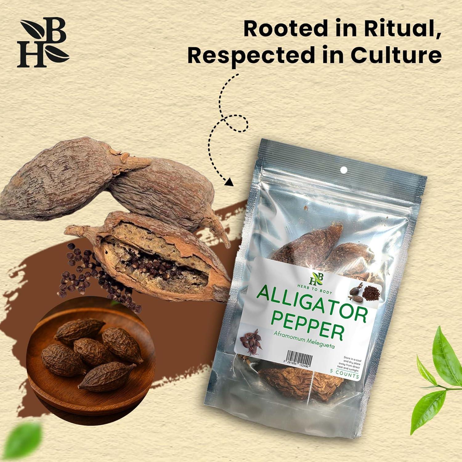 Pimienta de Cocodrilo Herb To Body - 5 Vainas Premium de Nigeria