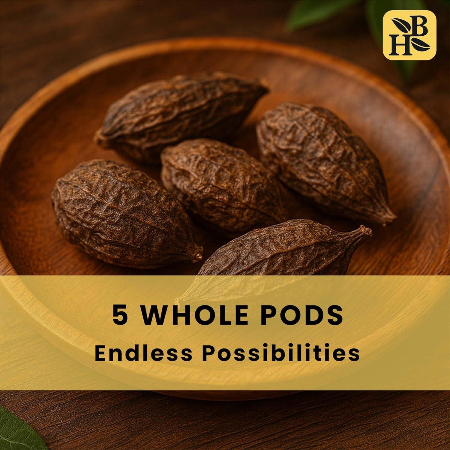 Pimienta de Cocodrilo Herb To Body - 5 Vainas Premium de Nigeria