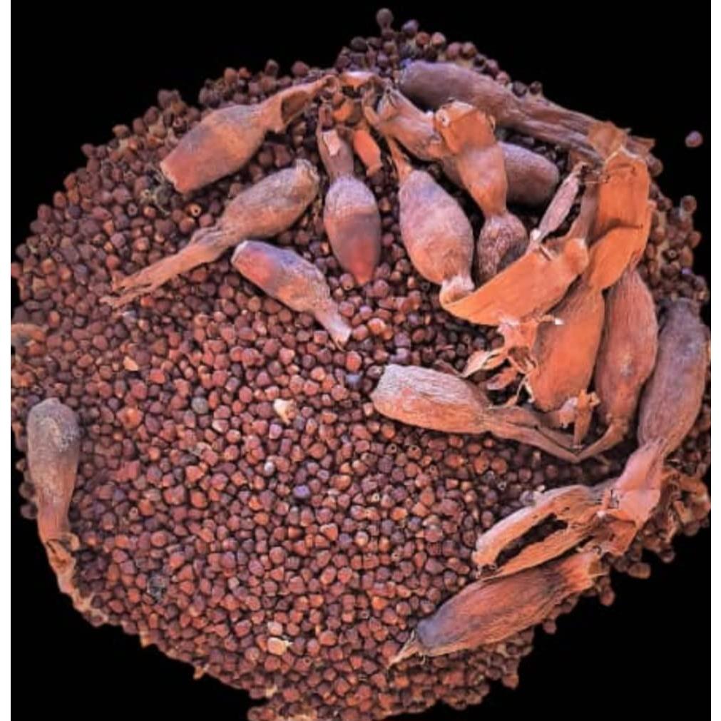 Semillas de Pimienta de Cocodrilo Orgánica Kopabana 28g