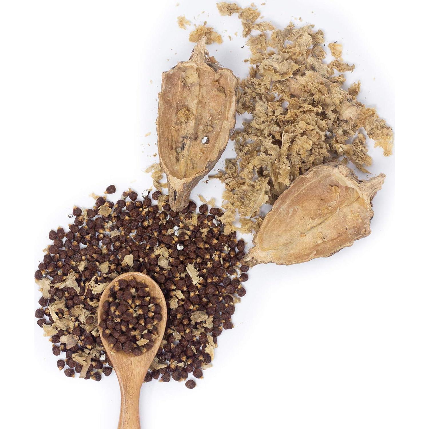 Pimienta de Cocodrilo Orgánica Africana Atare - 5 Vainas