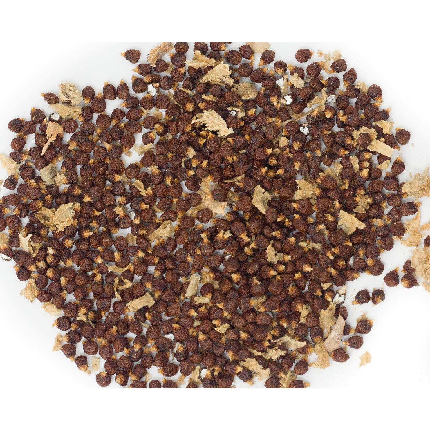 Pimienta de Cocodrilo Orgánica Africana Atare - 5 Vainas