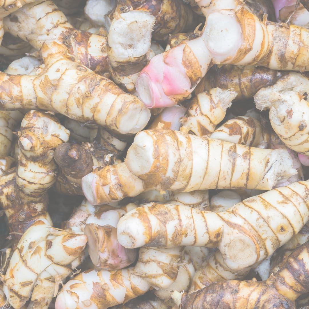 Cápsulas de Raíz de Galanga 100% Pura - Ingredientes Originales