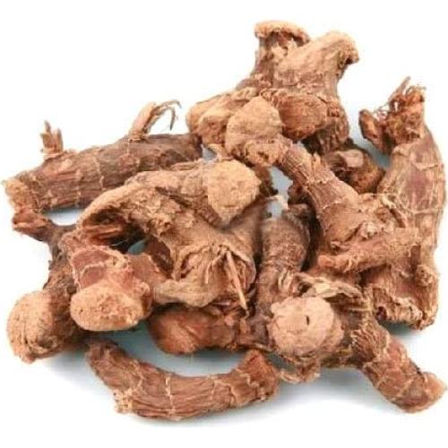 Raíz de Galanga Secada 453g | Alpinia Galanga | Yogi's Gift