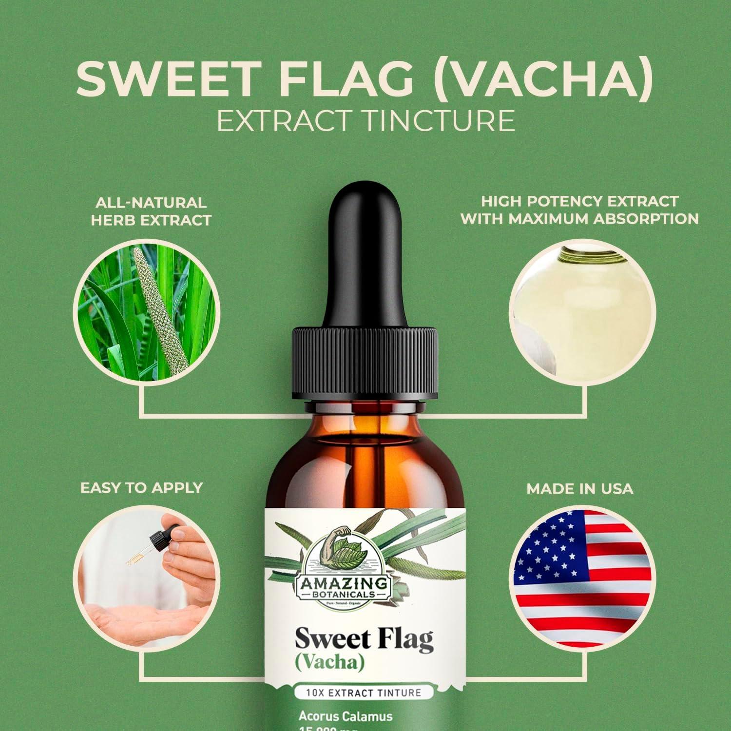 Extracto de Bandera Dulce 10X Amazing Botanicals 15000mg