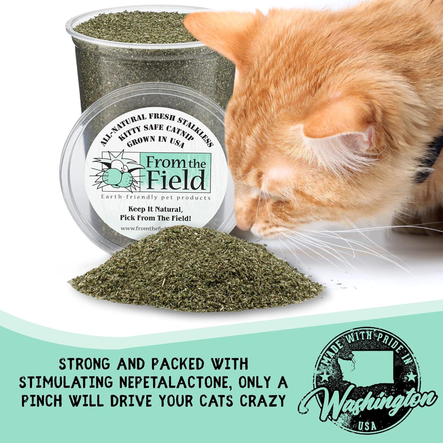 Catnip Sin Tallo Molido Fino De The Field 42.5g Ecológico