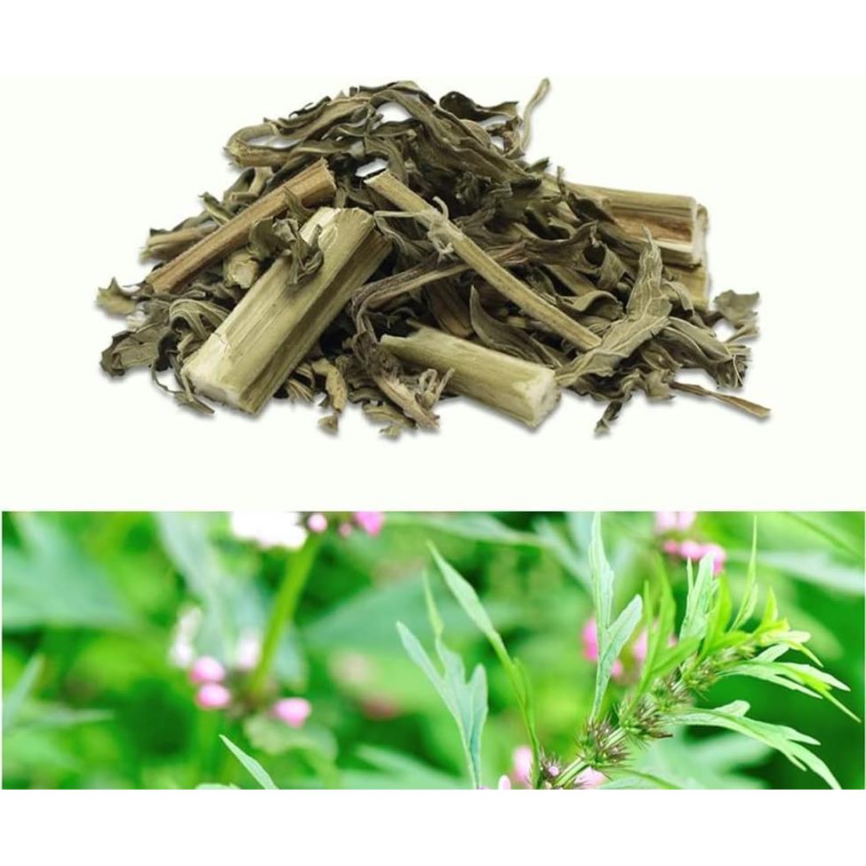 Extracto de Madre Selva Orgánico Puro en Polvo 300g Goodlife