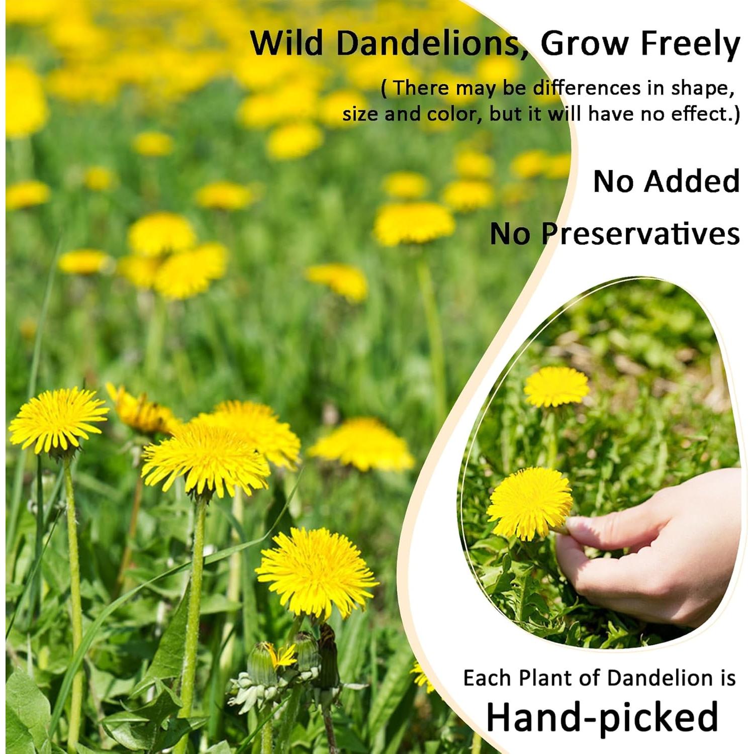 Té de raíz de diente de león T'SMOMENT 125g herbal natural