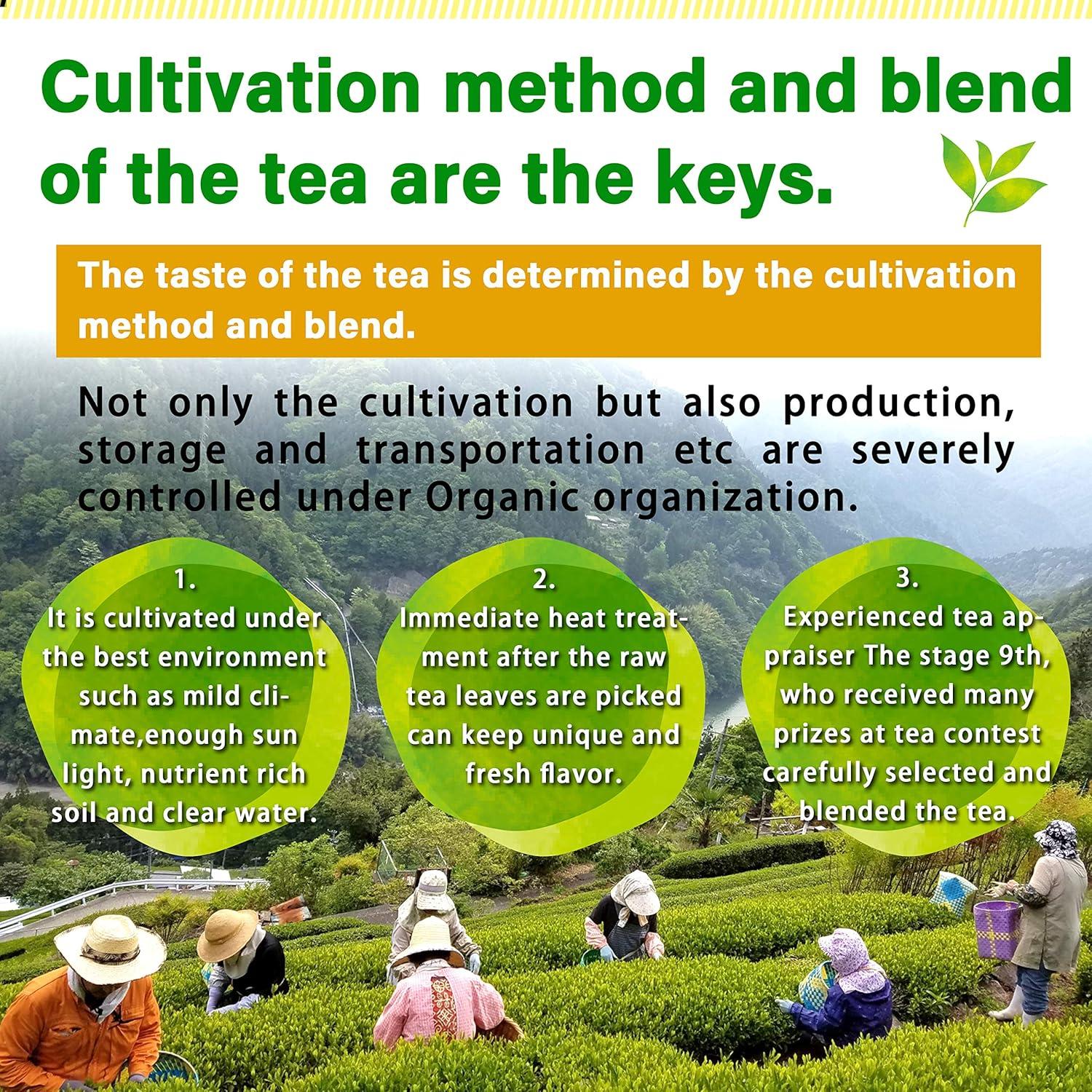 Polvo de té verde orgánico Yamasan Sencha 80g - Japón