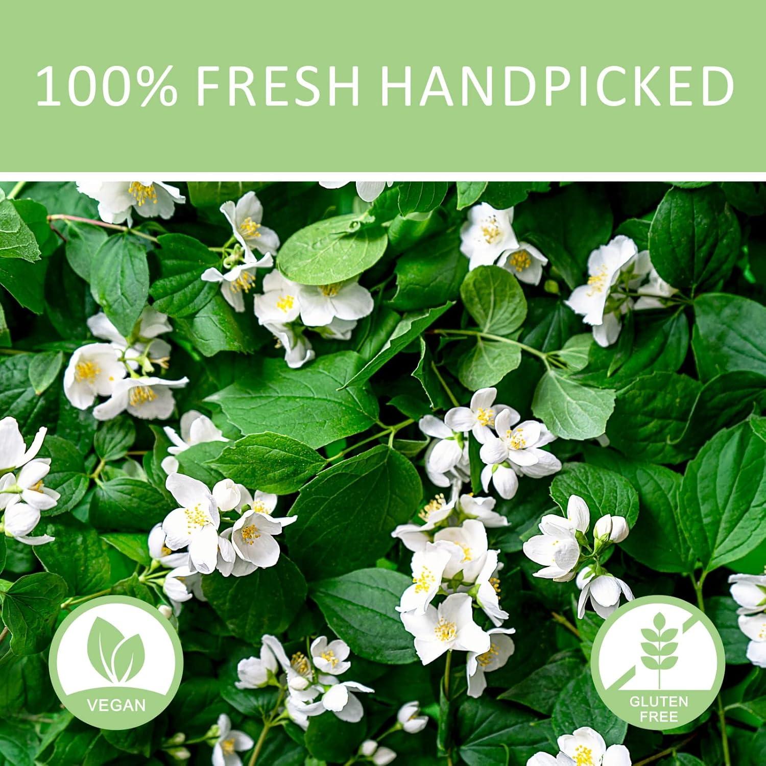 Buds de Flor de Jazmín Secos Goofoo 34 g - Té Floral Natural