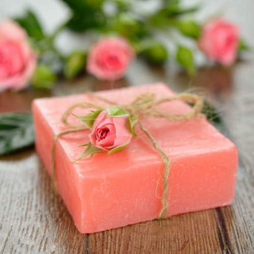 Polvo de Rosa Mosqueta Splendor Santa Barbara 113.4 g - Colorante Natural para Jabón