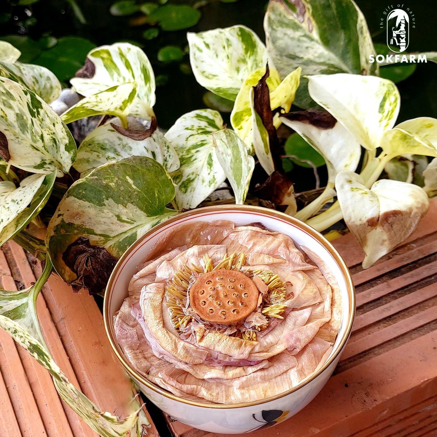 Té de Flor de Loto Sokfarm - 4 Flores Secas Sin Cafeína