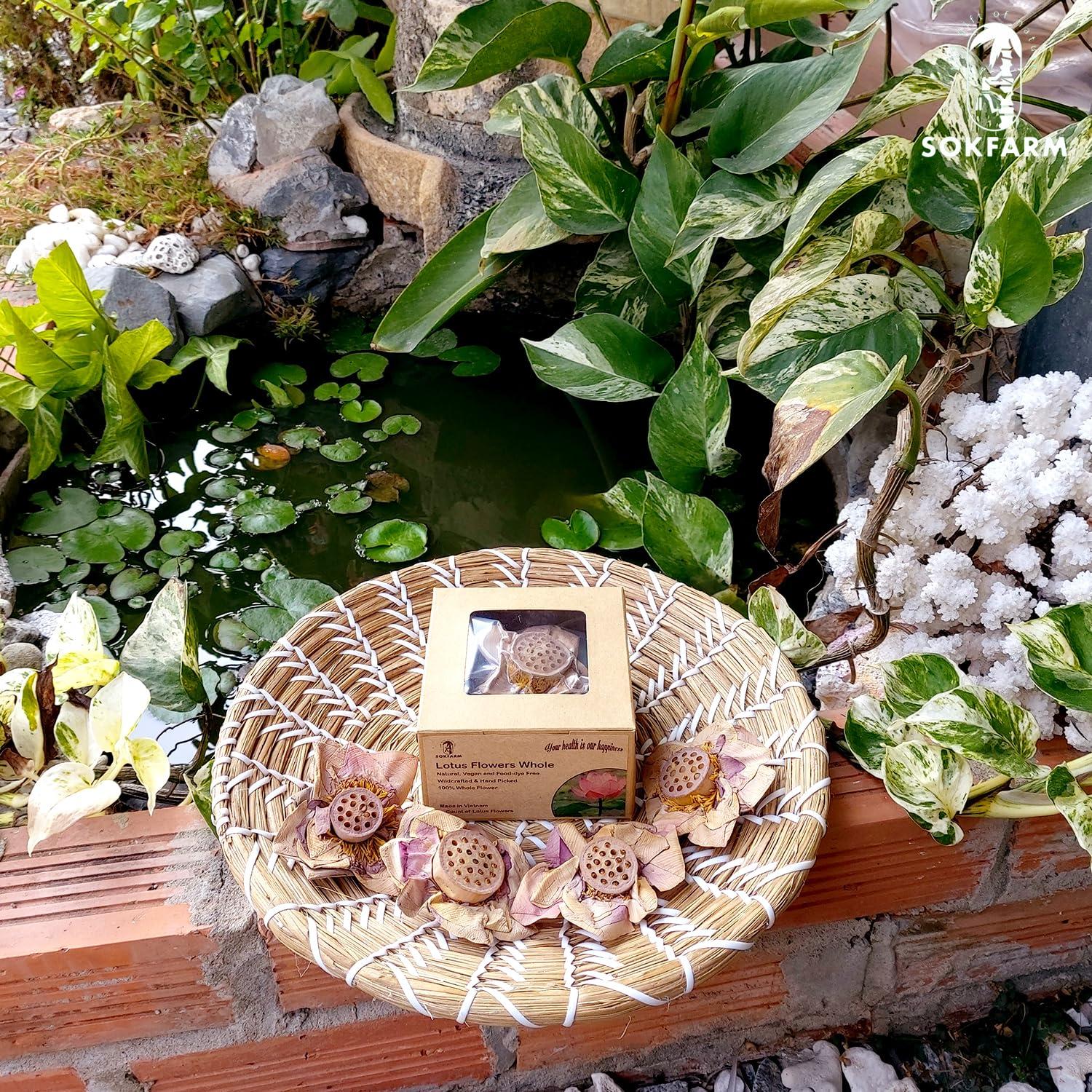 Té de Flor de Loto Sokfarm - 4 Flores Secas Sin Cafeína