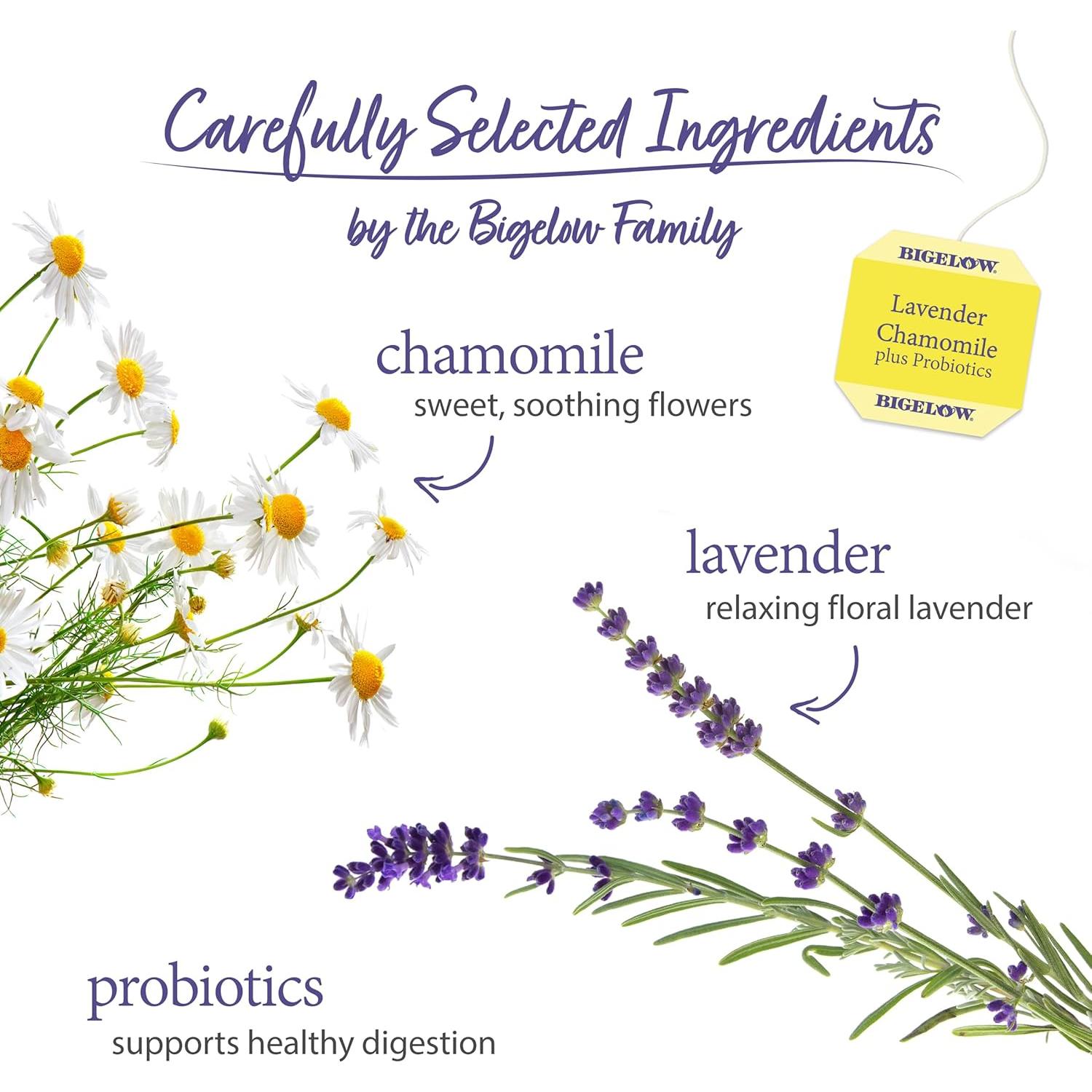 Té de Lavanda y Manzanilla Bigelow Plus Probioticos 108 Bolsitas