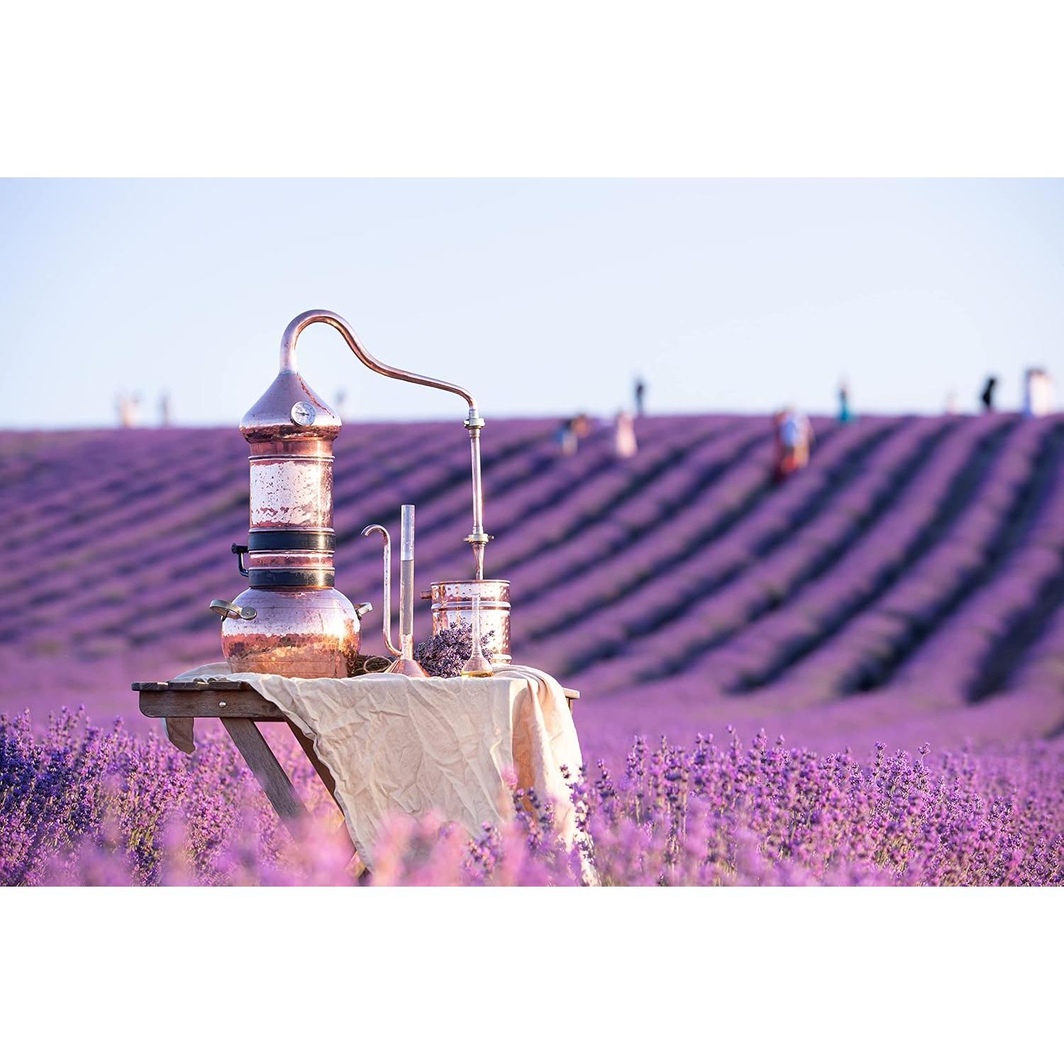 Té de Lavanda Orgánico 1LB U.S. Wellness - Flores Secas