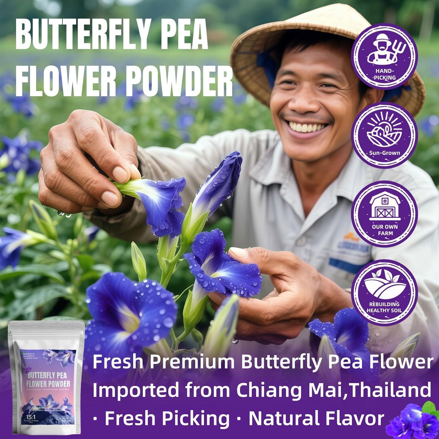 Polvo de Flor de Guisante Mariposa 200g - Colorante Natural Azul