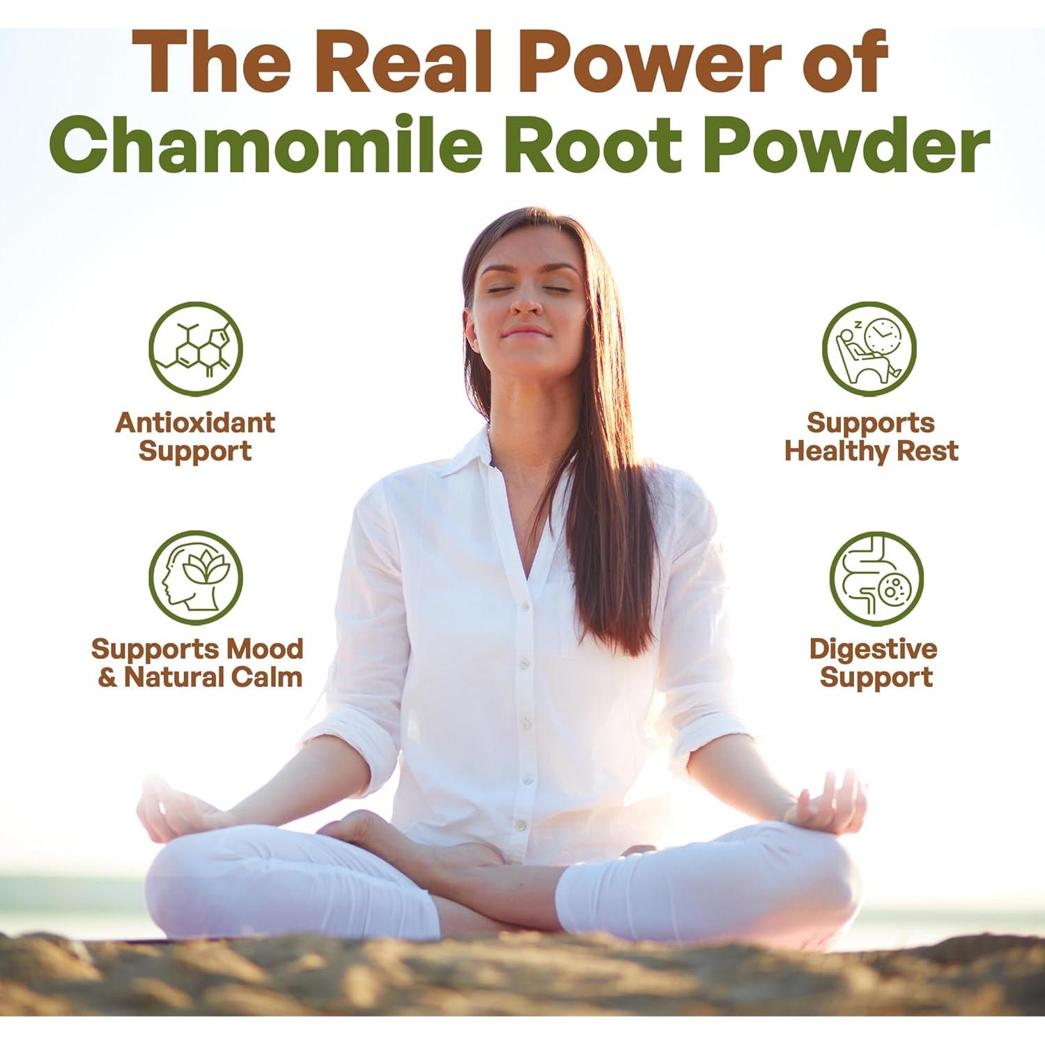 Go Nutra Extracto de Manzanilla en Polvo 10:1 227 g Suplemento