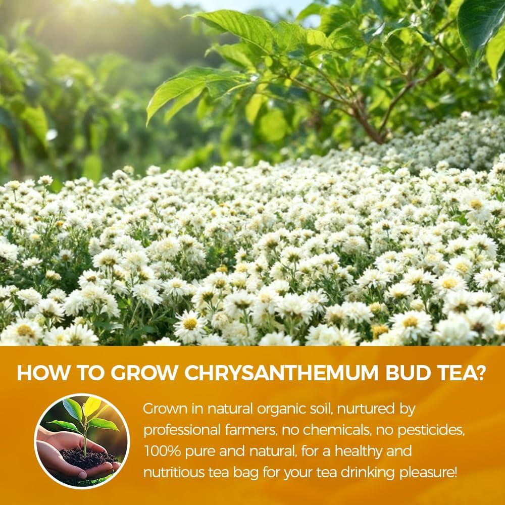 Té de crisantemo natural 150g WOTIHA - Sin cafeína, sin aditivos