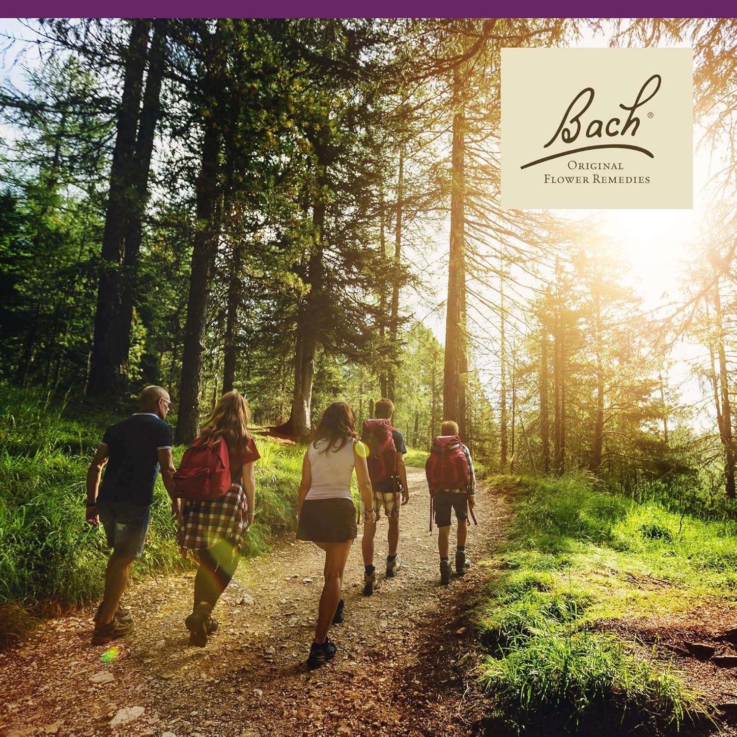 Esencia Floral Violeta de Agua Bach 20mL - Equilibrio Emocional Vegano