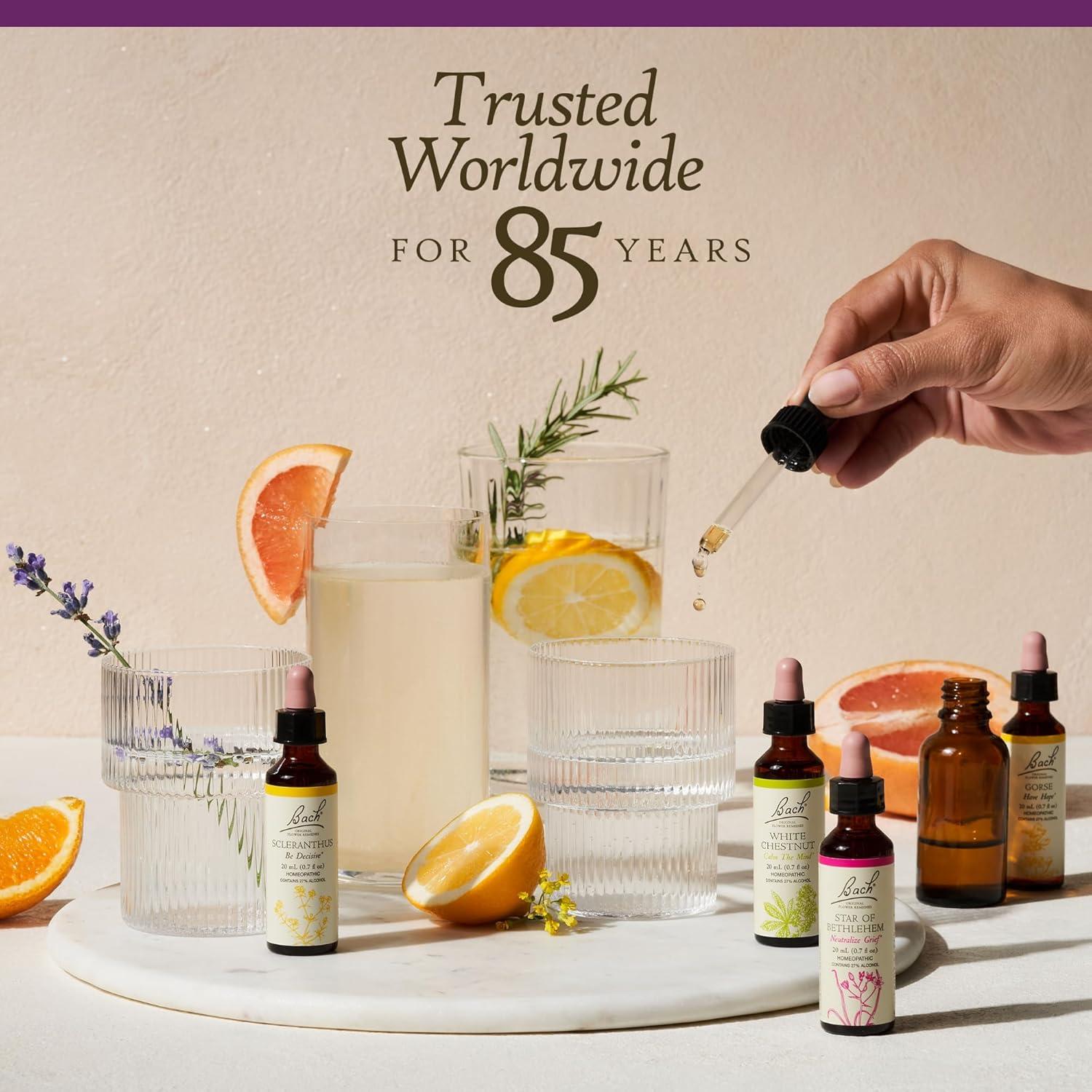 Esencia Floral Violeta de Agua Bach 20mL - Equilibrio Emocional Vegano