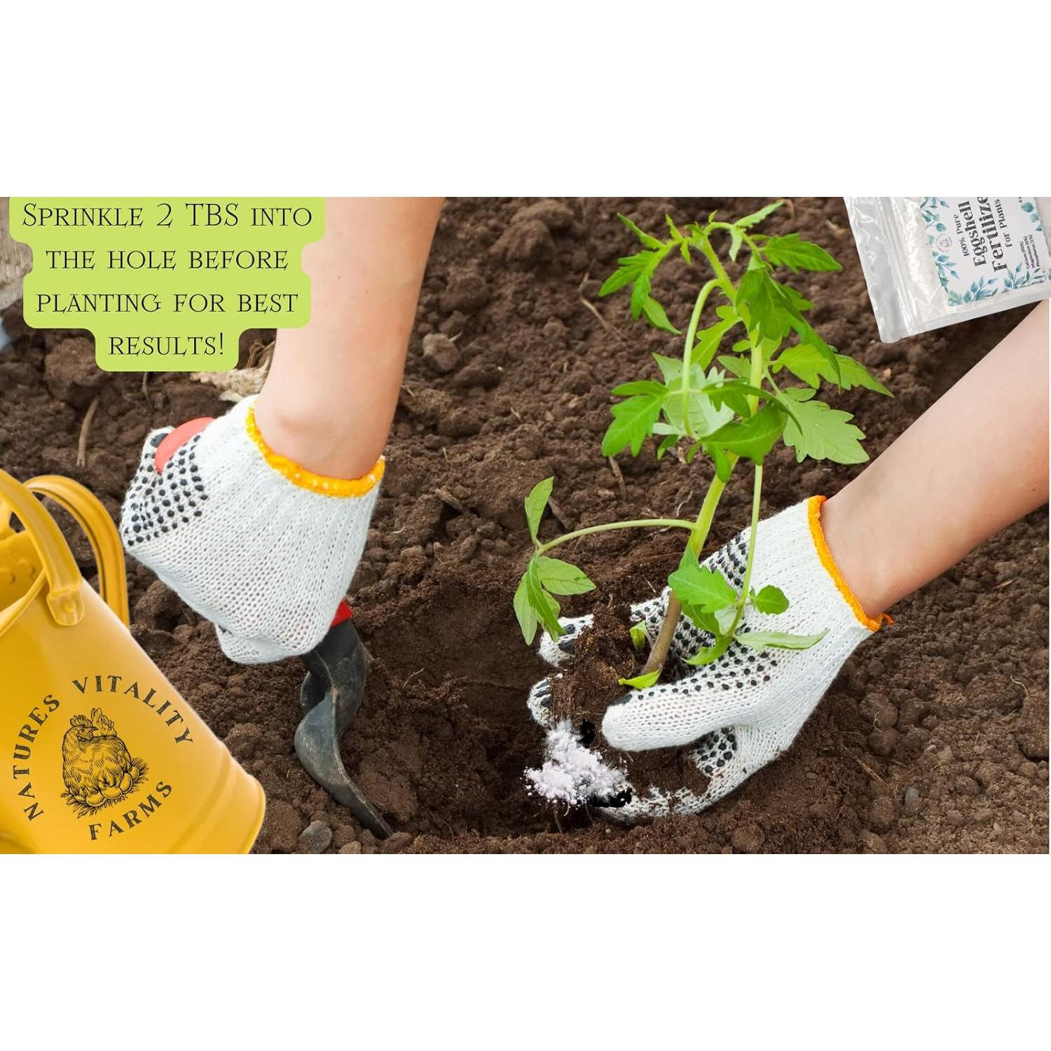 Fertilizante Natural en Polvo de Cáscara de Huevo 113g