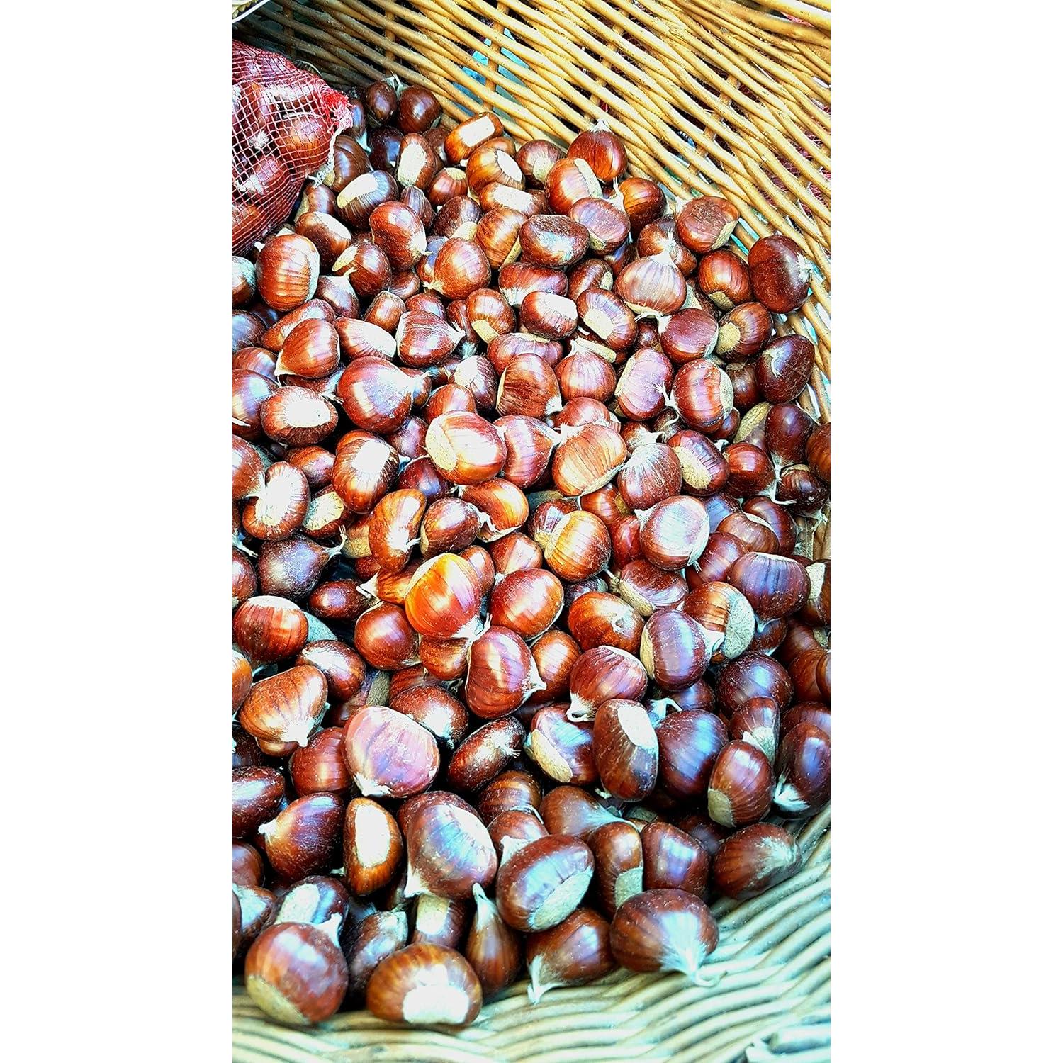 Harina de Castaña Italiana Giannetti 908g - 2 Paquetes de 454g