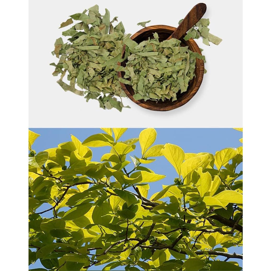 Extracto en polvo de hoja de caqui Goodlife 300g orgánico