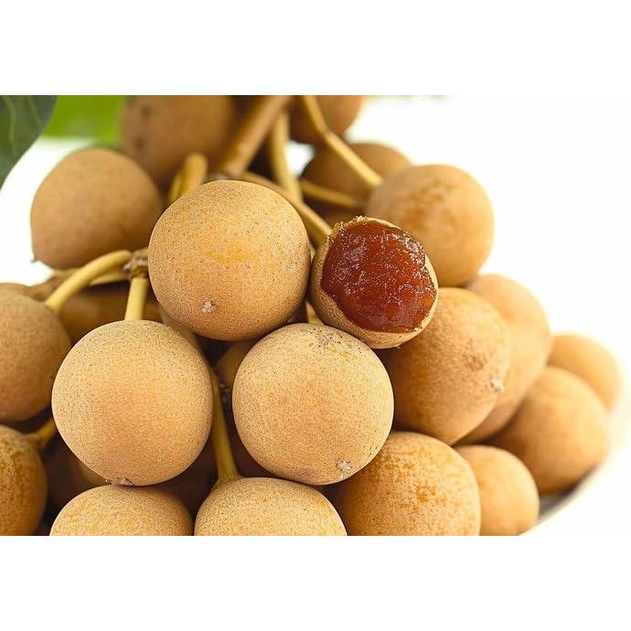 Suplemento de Longan Seco 219.9 g Kunming Enguang - 100% Natural