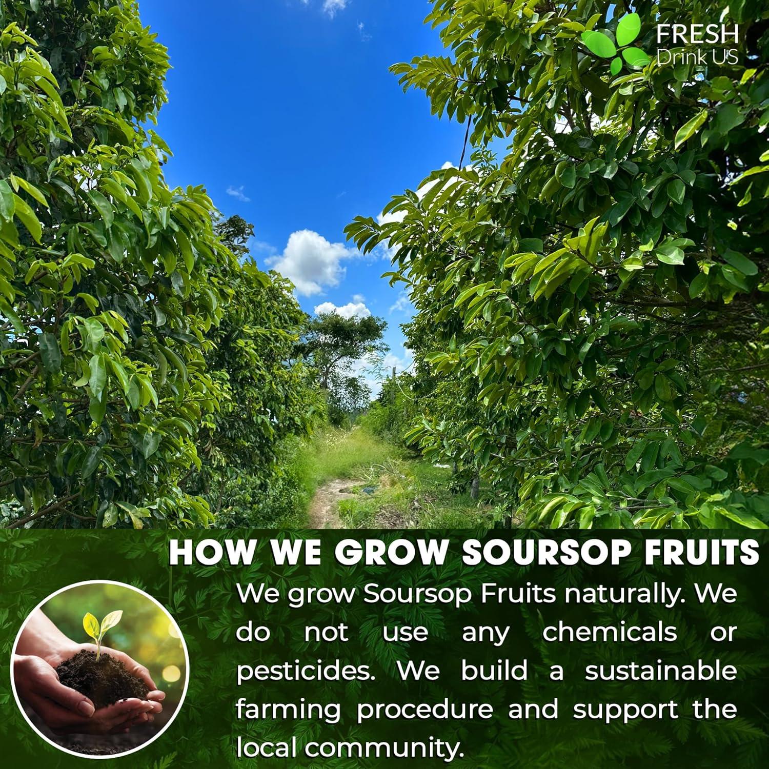 Polvo de Fruta de Graviola FreshDrinkUS 127g Sin Azúcar