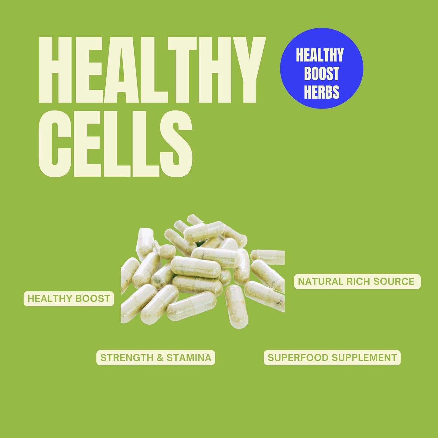 Cápsulas de Graviola Soursop 500mg Behalal Organics - 200 Unidades