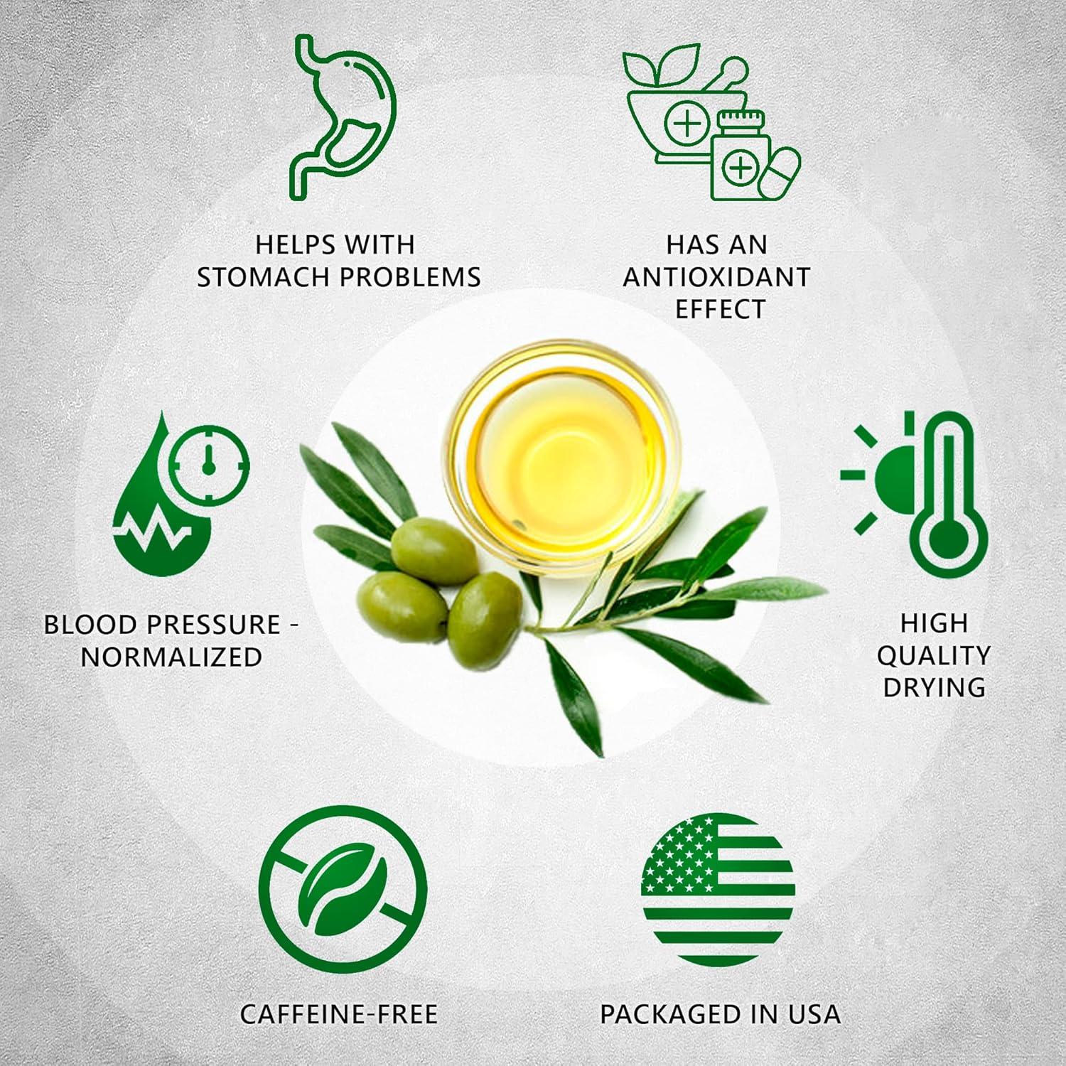 Té de Hoja de Olivo Premium TeaDreamTea - 200 Bolsas Sin Cafeína