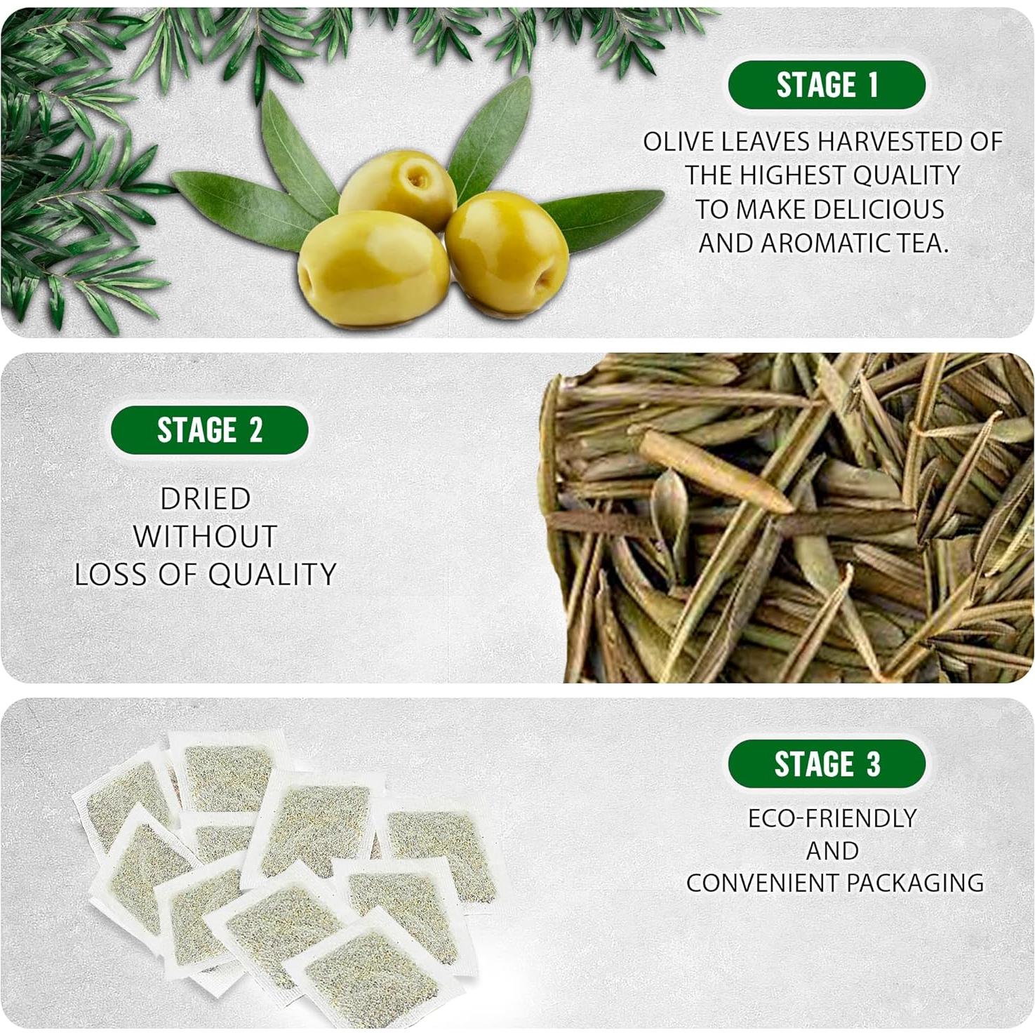 Té de Hoja de Olivo Premium TeaDreamTea - 200 Bolsas Sin Cafeína