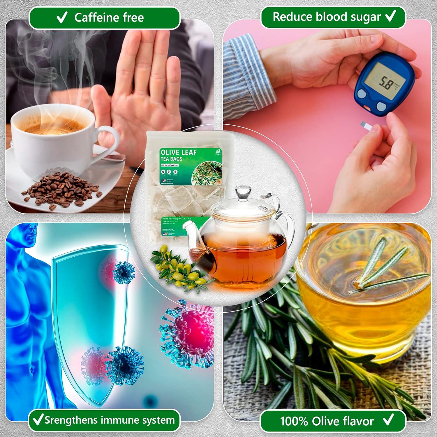 Té de Hoja de Olivo Premium TeaDreamTea - 200 Bolsas Sin Cafeína