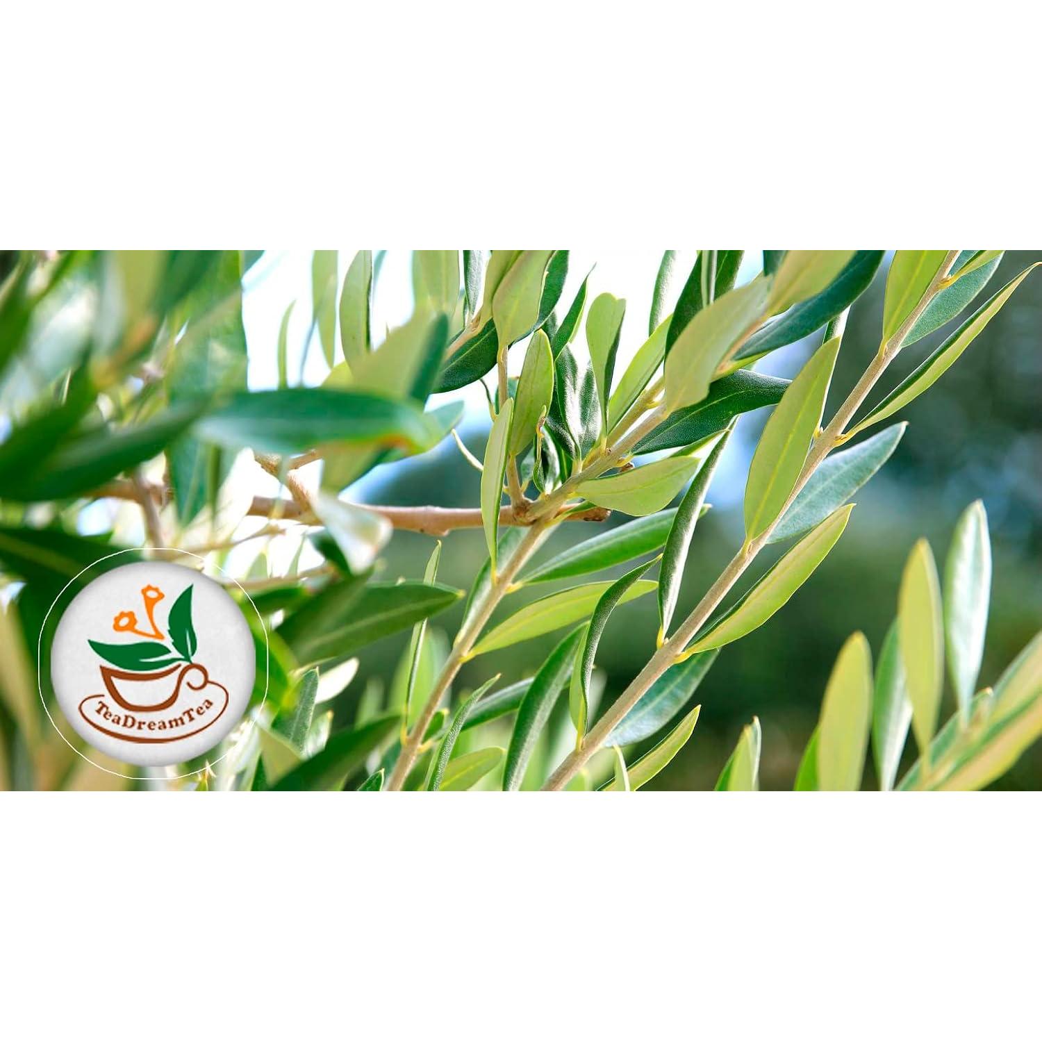 Té de Hoja de Olivo Premium TeaDreamTea - 200 Bolsas Sin Cafeína