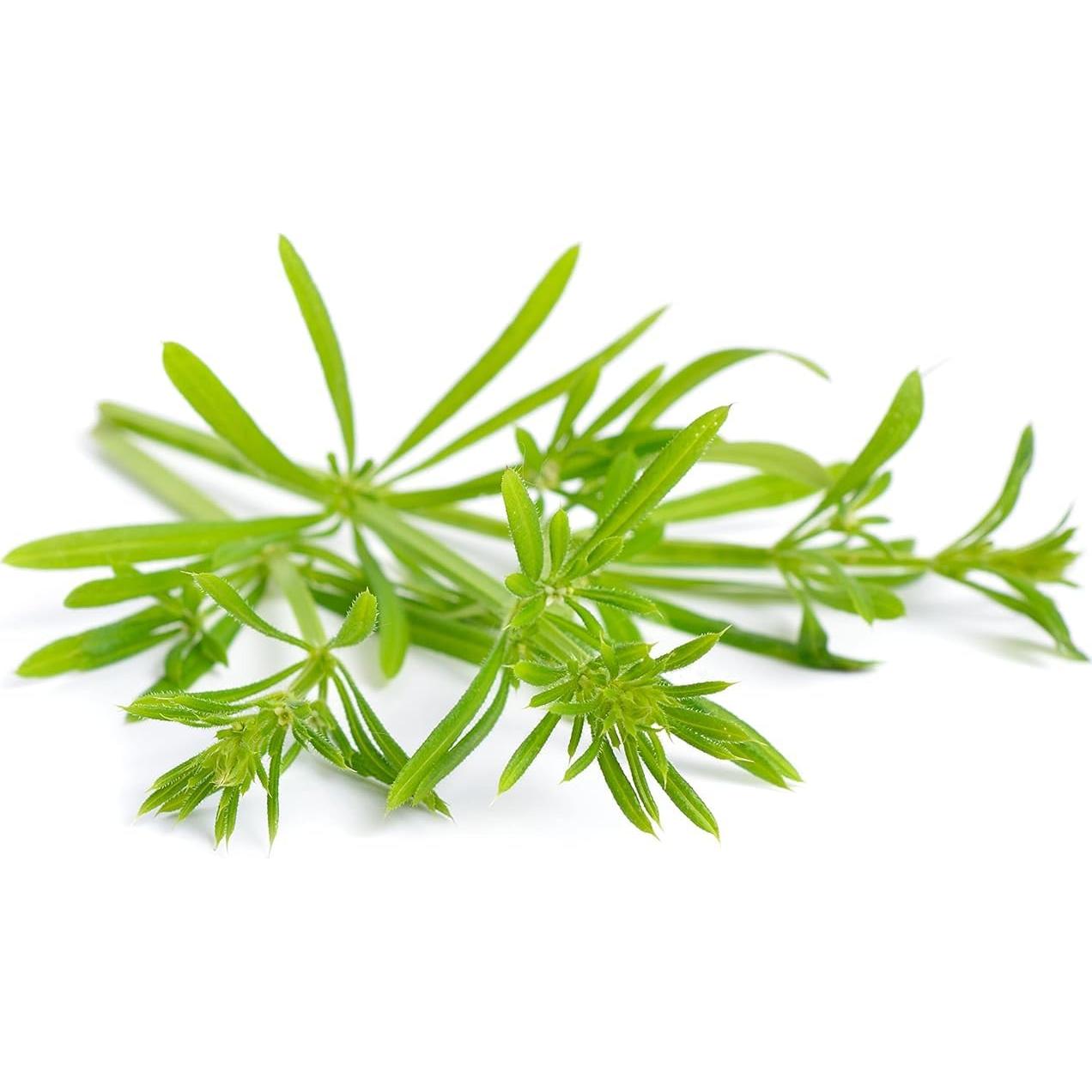 Hierba de Cleavers Nature Tea 113.4 g - Hoja Seca Natural