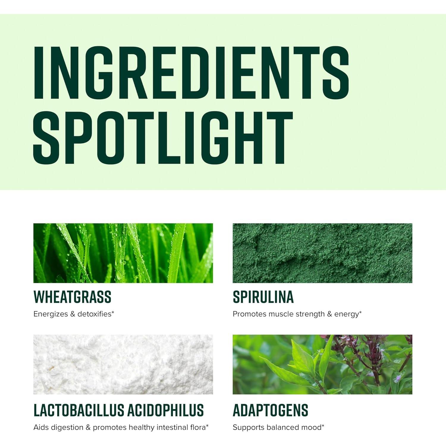 Polvo de Superalimento Vegano Salud Vibrante 60 Porciones