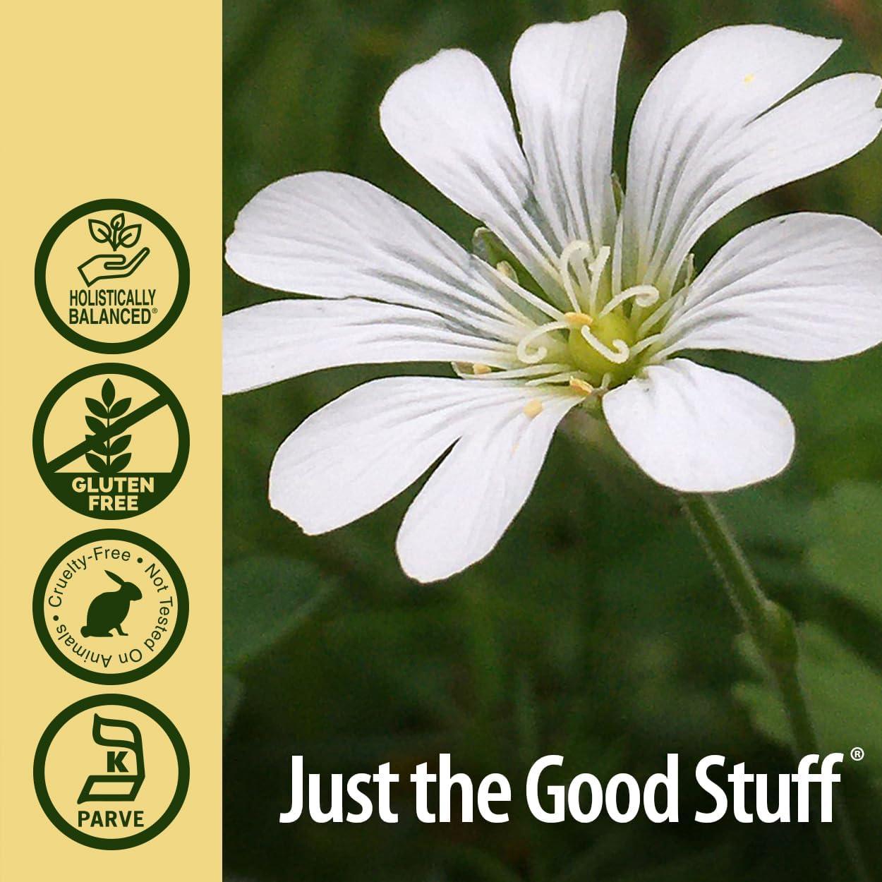 Extracto de Hierba de Pajarito Nature's Answer 60 ml Orgánico