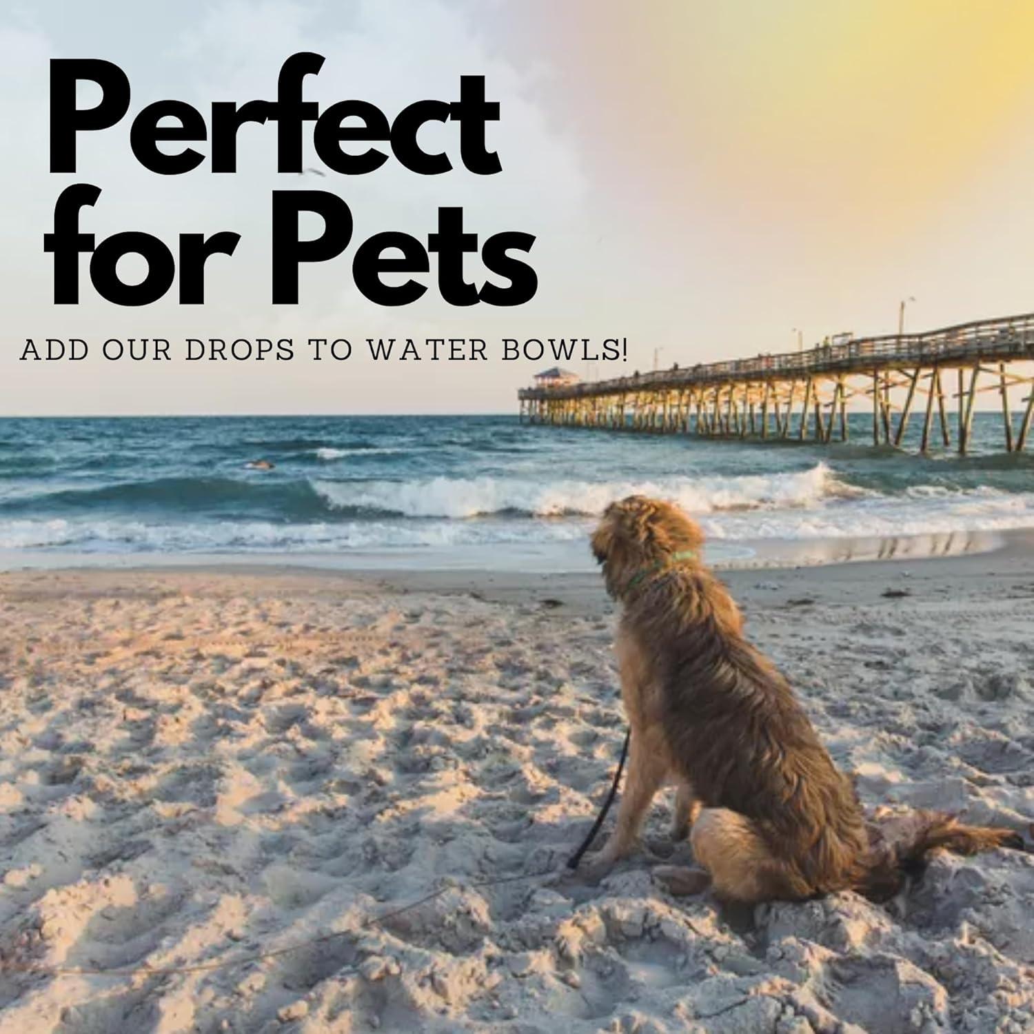 Sal Marina Francesa Sel Gris 82 Minerales 113g - Orgánica y Sin Aditivos