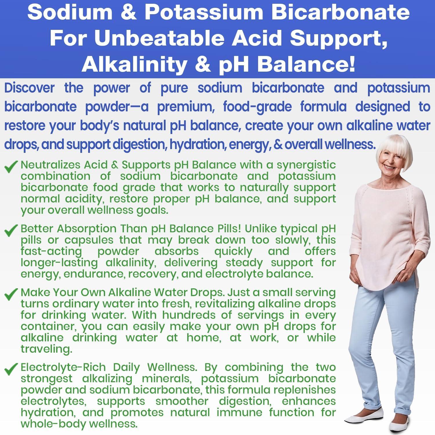 Suplemento Alcalinizante en Polvo Healthy Kidney 340g