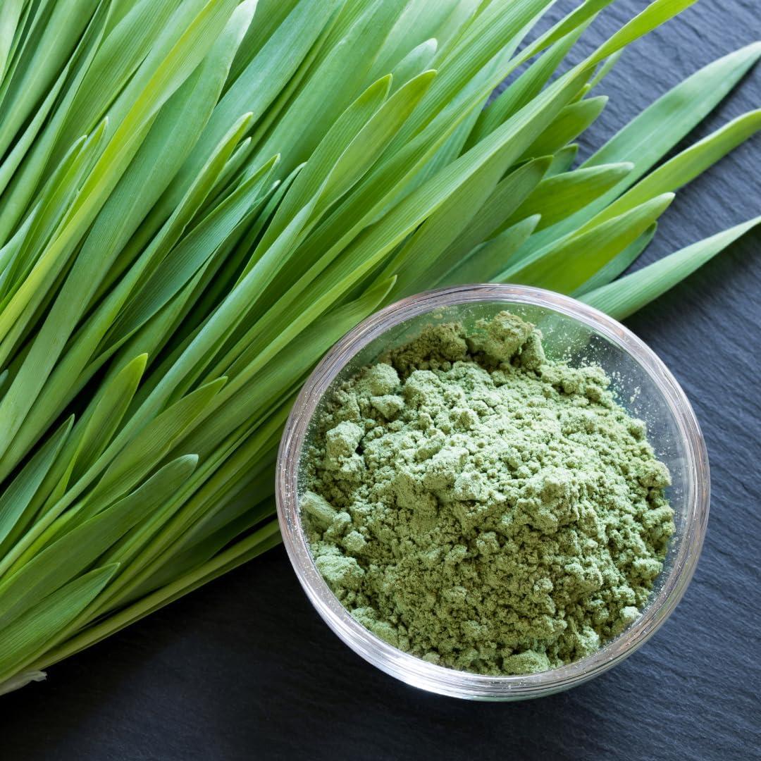 Polvo de Césped de Cebada Earthborn Elements 3.78L Suplemento Herbal